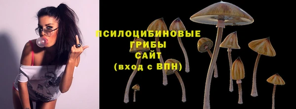 скорость Алексин